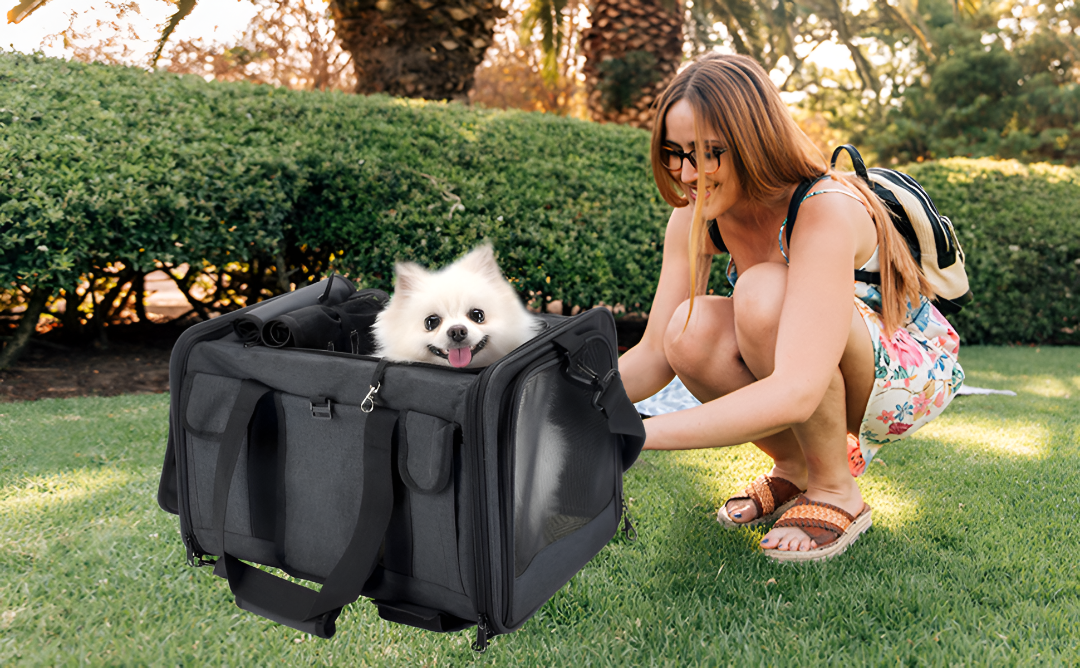 Secure Comfortable Travel Pet Carriers